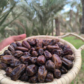 خرما عویدی خوزستان درجه یک پک 2 کیلویی