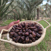 خرما عویدی خوزستان درجه یک پک 2 کیلویی