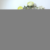 سرم الماسه سفید کننده و چاق کننده صورت وارداتی
